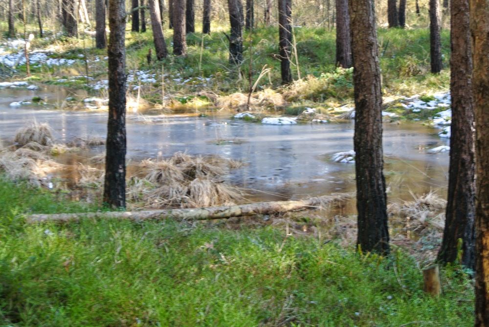 Photograph by Igors Rostikovs