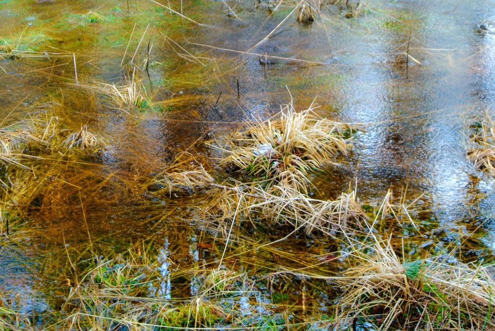 Photograph by Igors Rostikovs