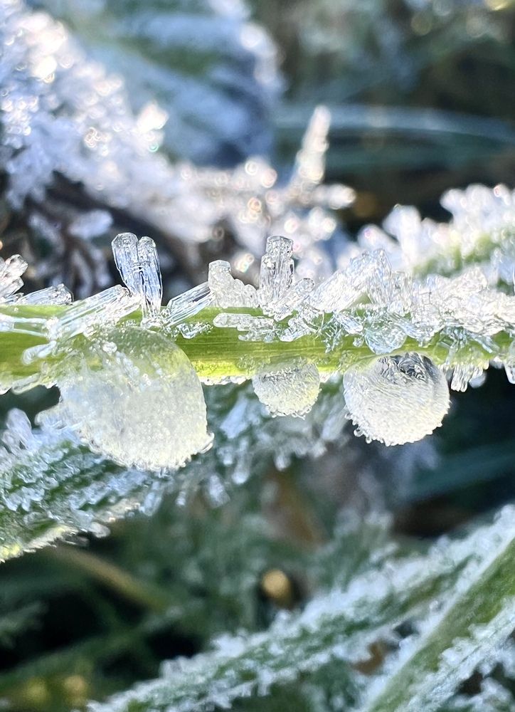 Photograph by Александра Акси