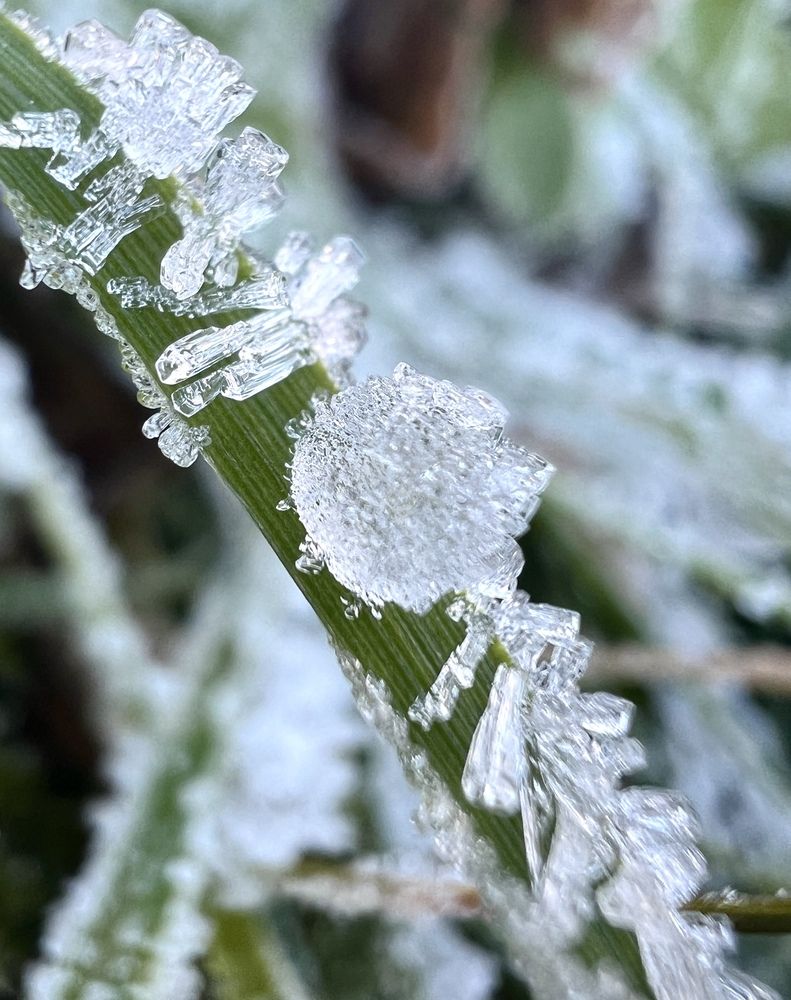Photograph by Александра Акси