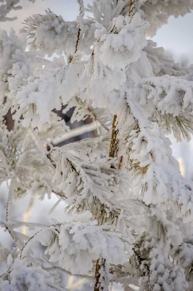 Photograph by Igors Rostikovs