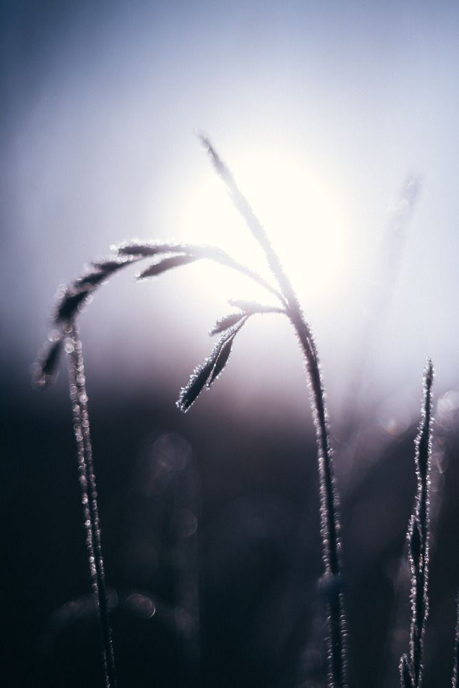 Photograph by Anton Ry