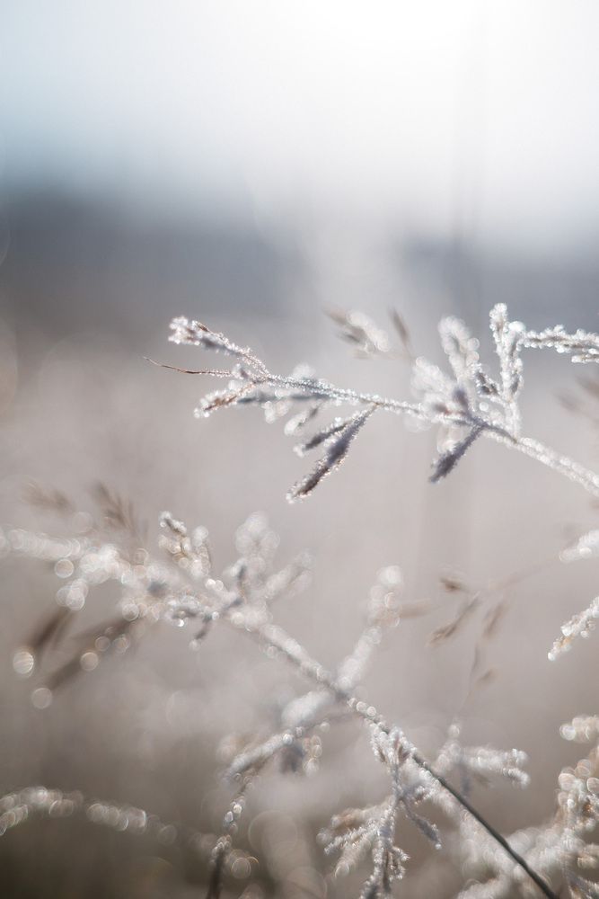 Photograph by Anton Ry