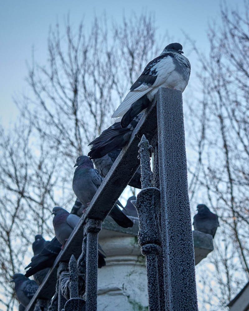 Фотография автора Dana Korolkova