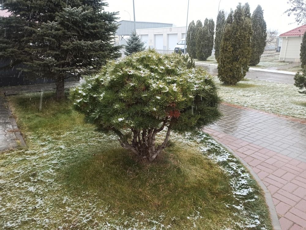 Photograph by Валерия Сопова