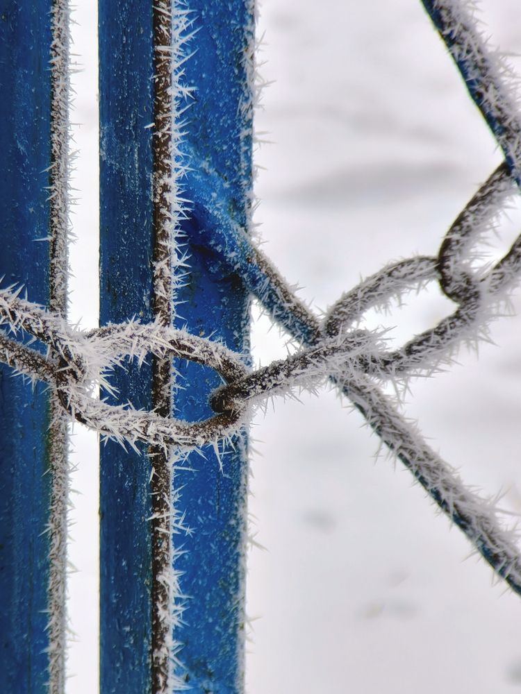 Photograph by Yuliya Karpova