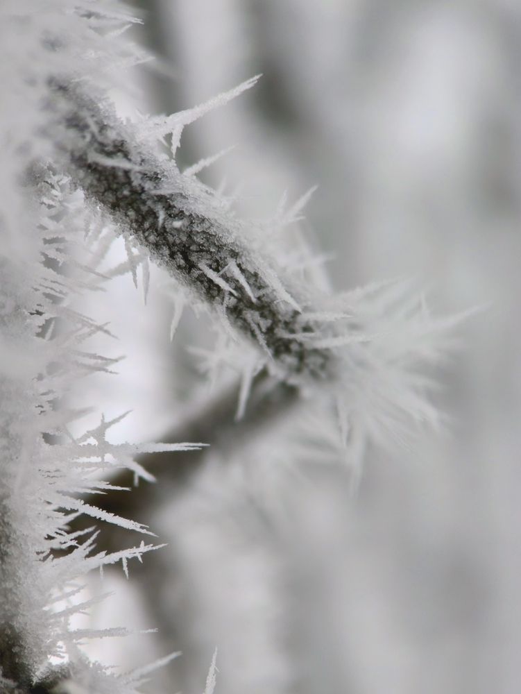 Photograph by Yuliya Karpova