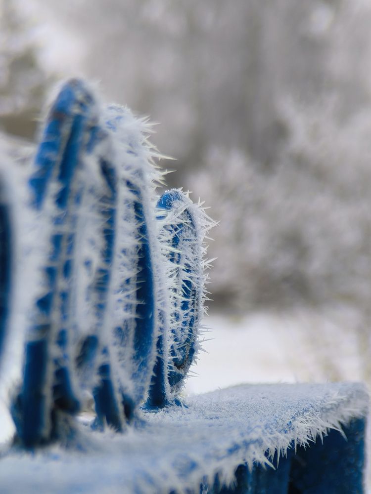 Photograph by Yuliya Karpova