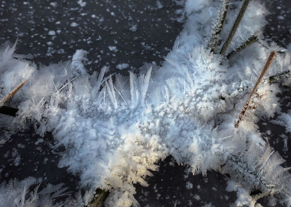 Photograph by Ольга Стоун