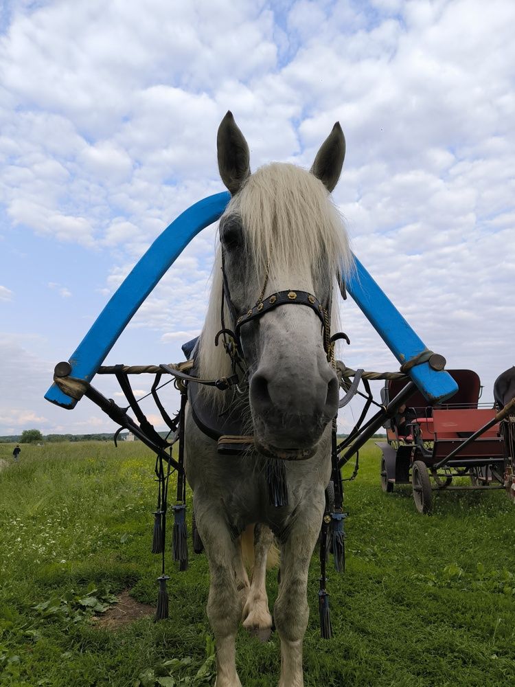 Photograph by Ольга Стоун