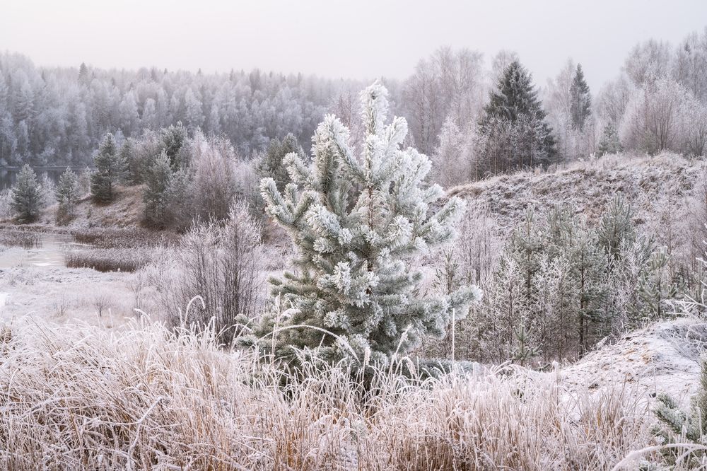 Photograph by Алексей Турчин