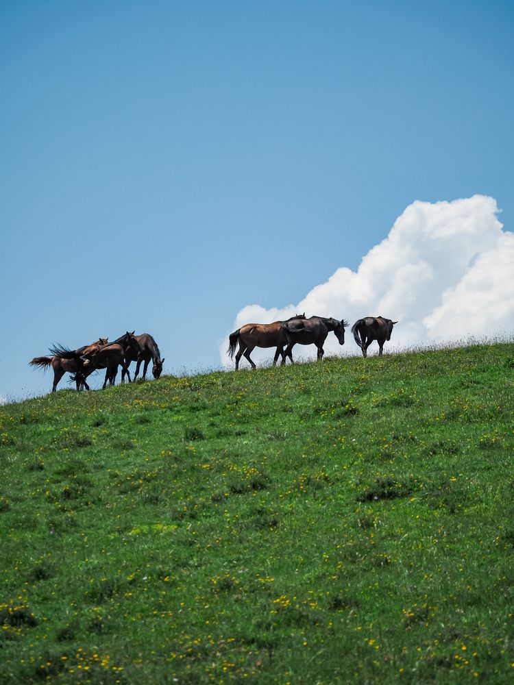 Photograph by Виталий Шмачко