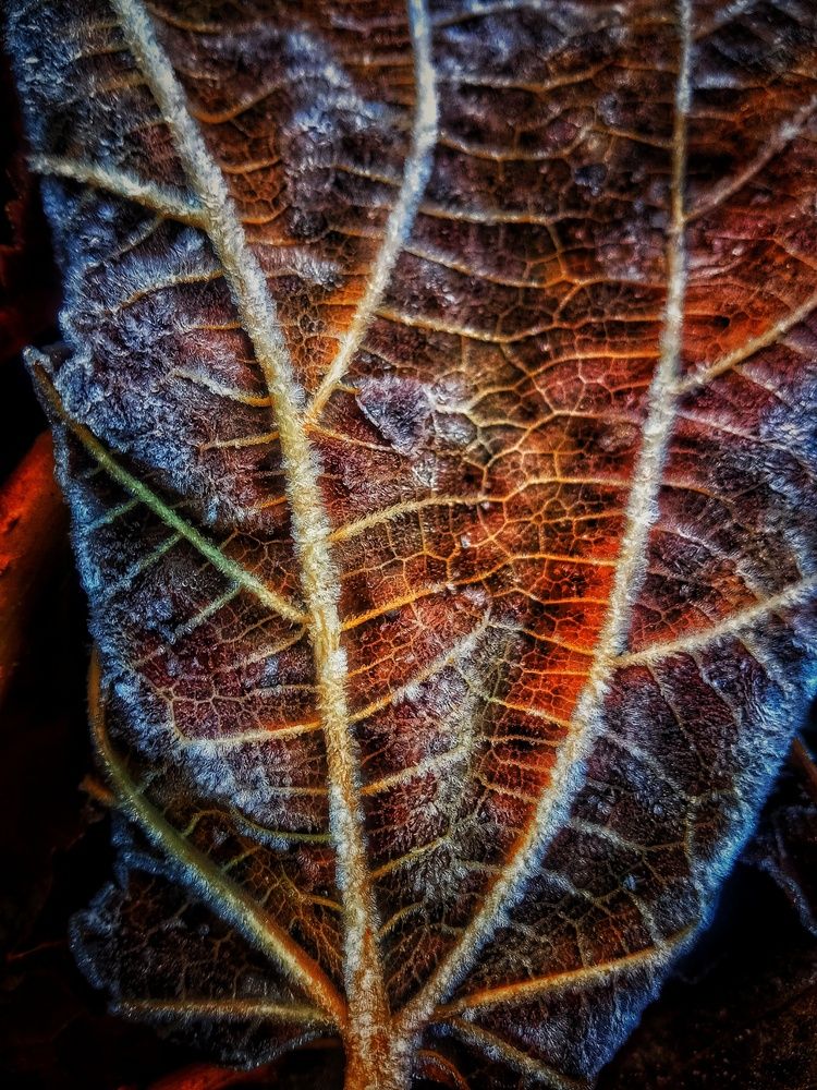 Фотография автора Mahdi Mohammadi