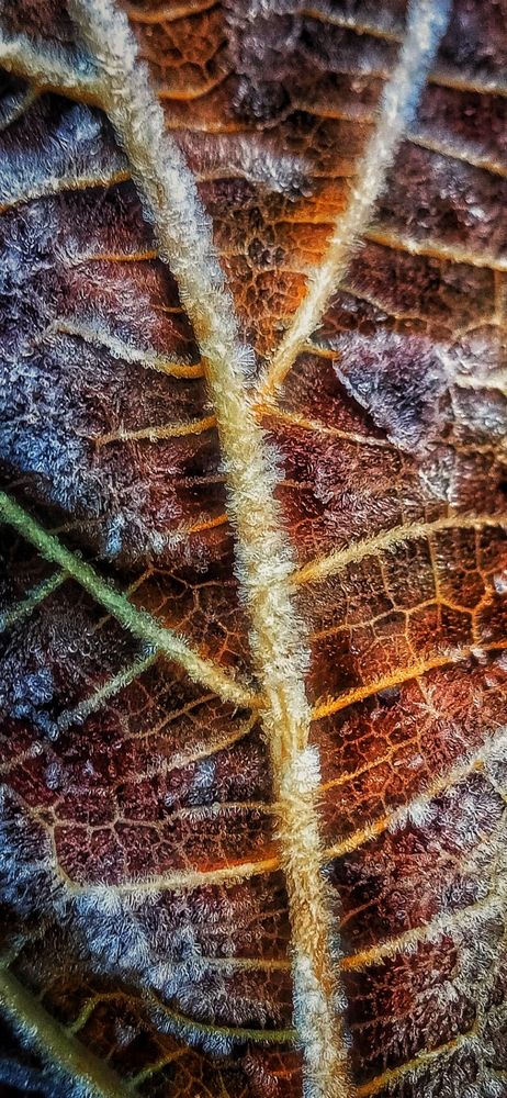 Фотография автора Mahdi Mohammadi