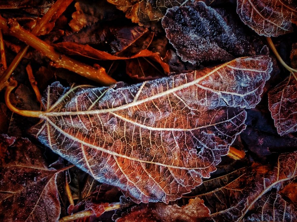 Фотография автора Mahdi Mohammadi