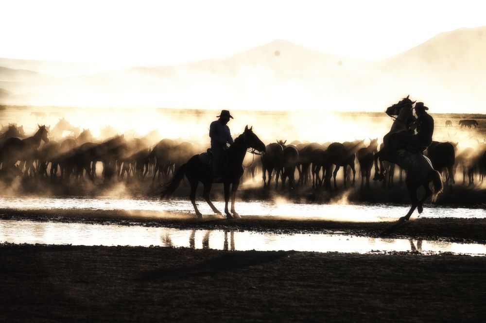 Фотография автора DAMOUN POURNEMATI