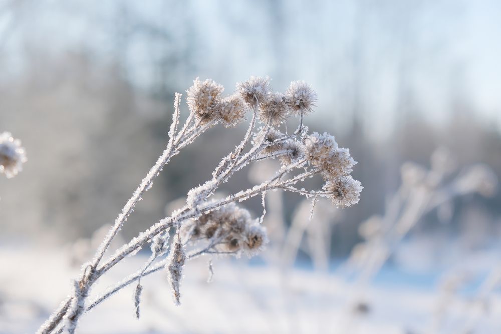 Photograph by Надежда Кангина