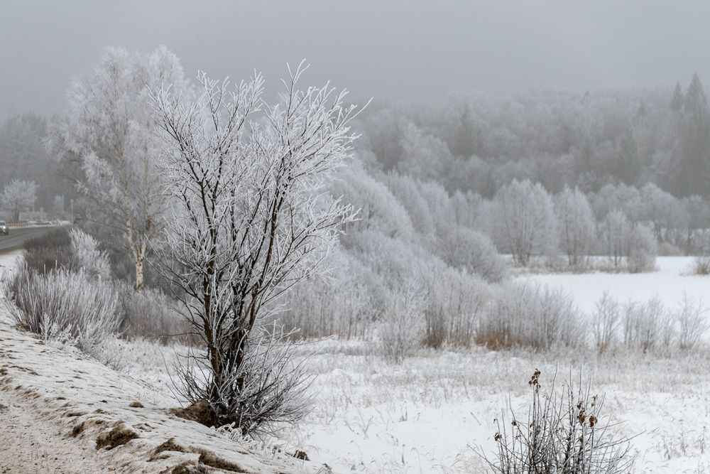 Photograph by Елена Ефимова