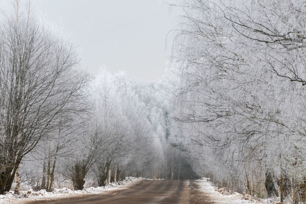 Photograph by Елена Ефимова