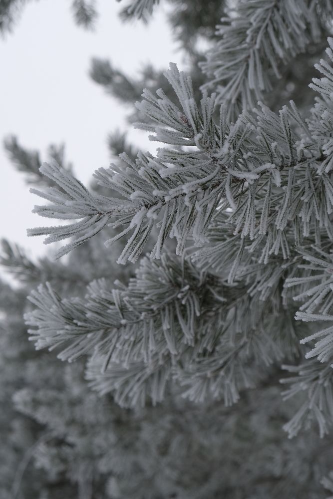 Photograph by Надежда Кангина