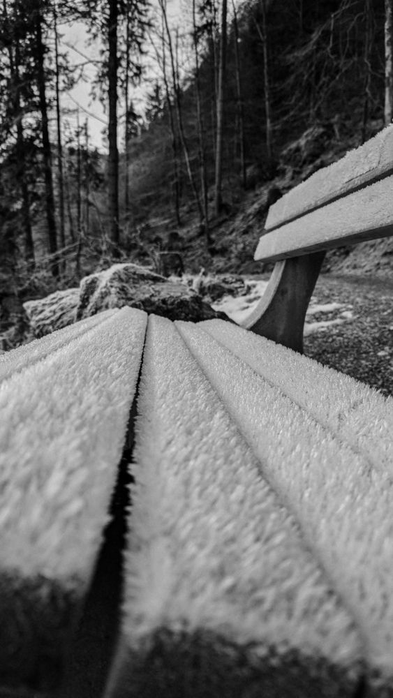 Photograph by Iryna Usanova