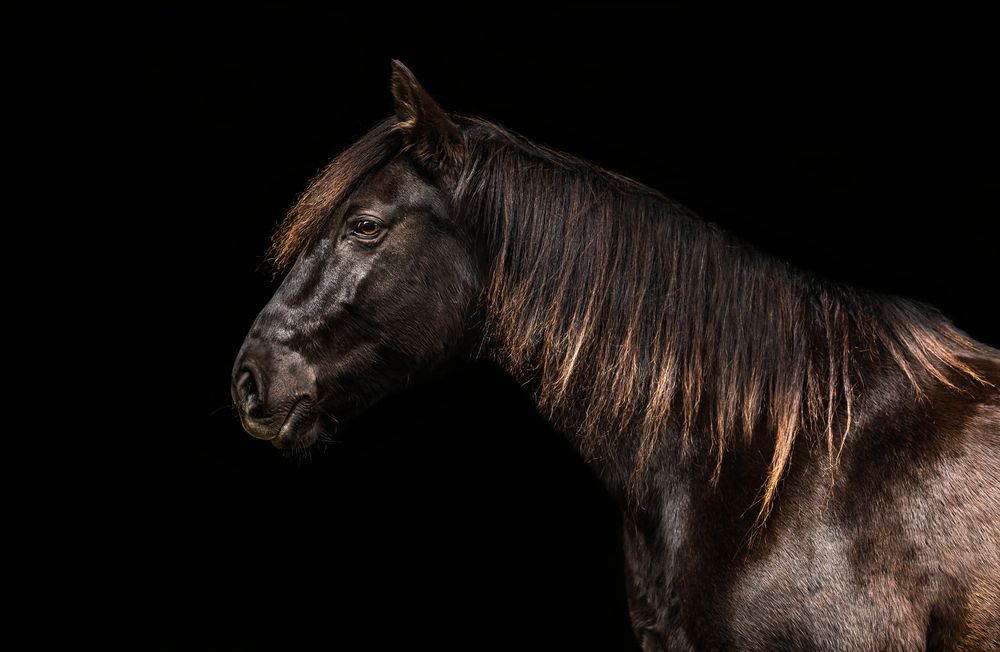 Photograph by Jeanne Goffin