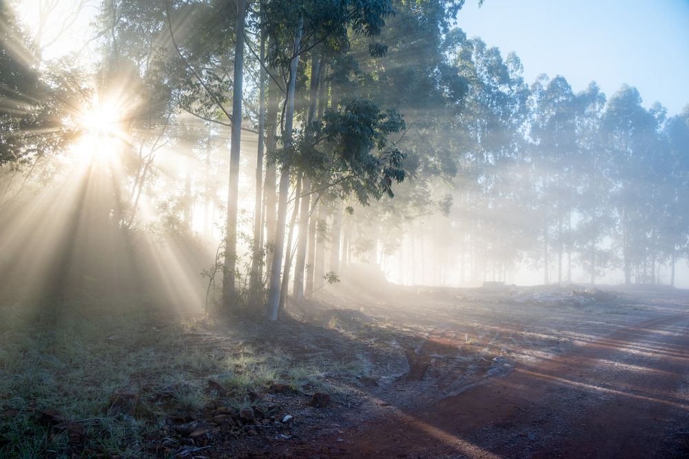 Photograph by Mateus Campos Felipe