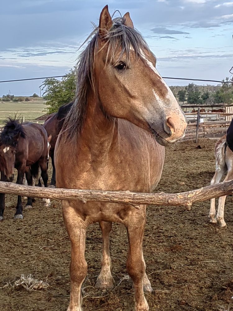 Photograph by Елена Пономарева