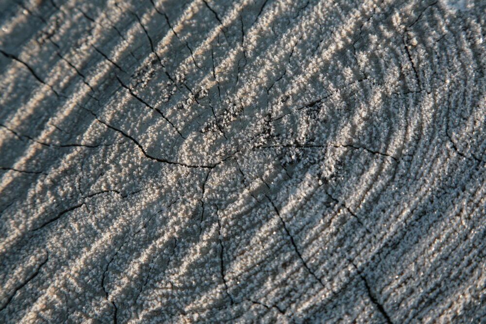 Фотография автора Александр Кожевников