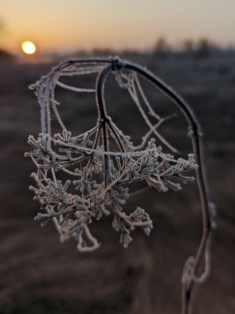 Photograph by Владимир Заборонок