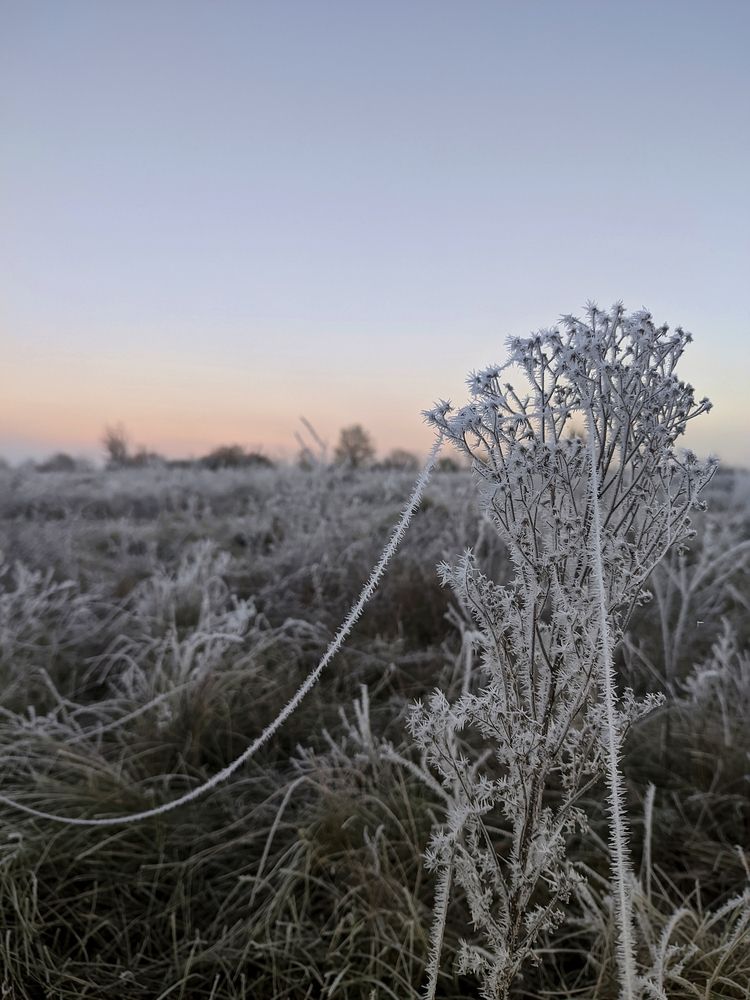Photograph by Владимир Заборонок
