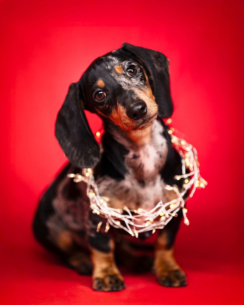 Фотография автора Jeanne Goffin