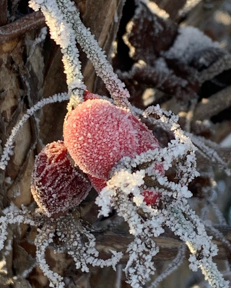 Фотография автора Ирина Шпаковская