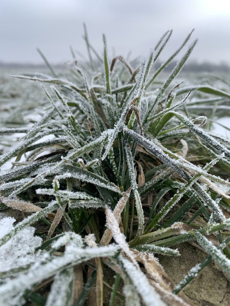 Фотография автора Ирина Шпаковская