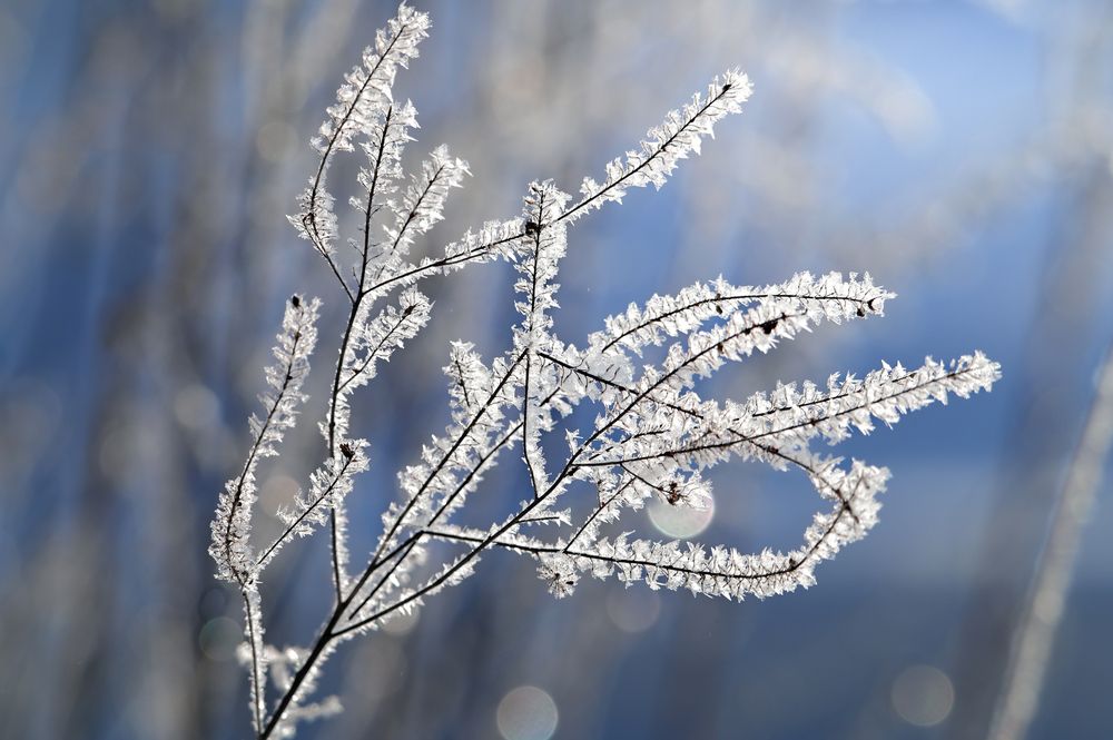 Photograph by Nephotograph