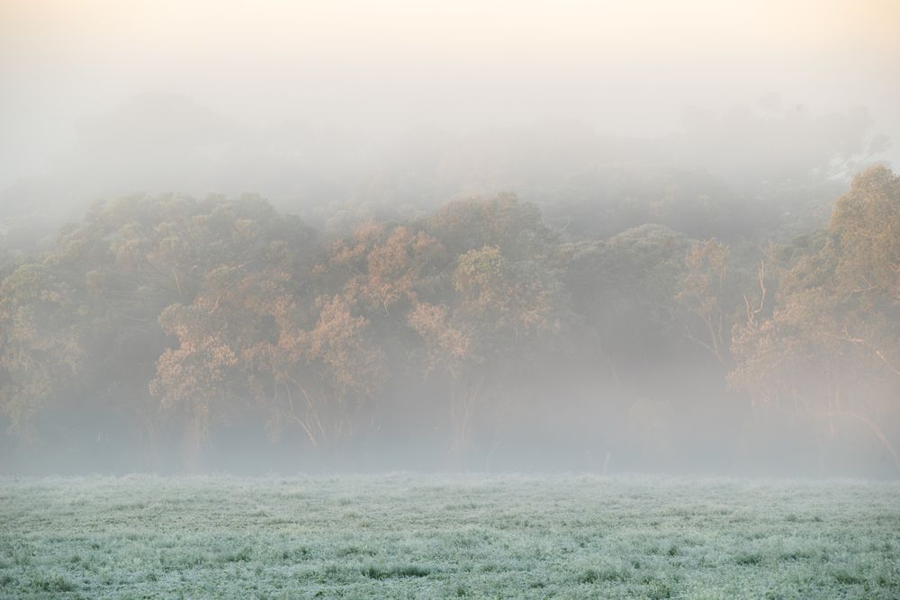 Photograph by Mateus Campos Felipe