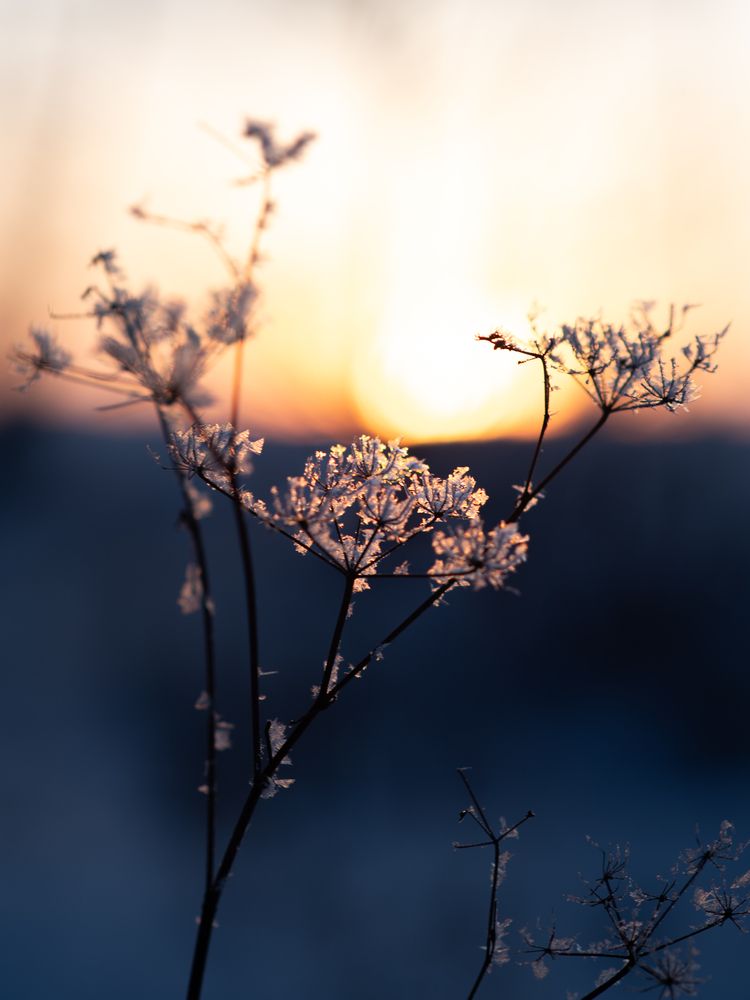 Photograph by Nephotograph