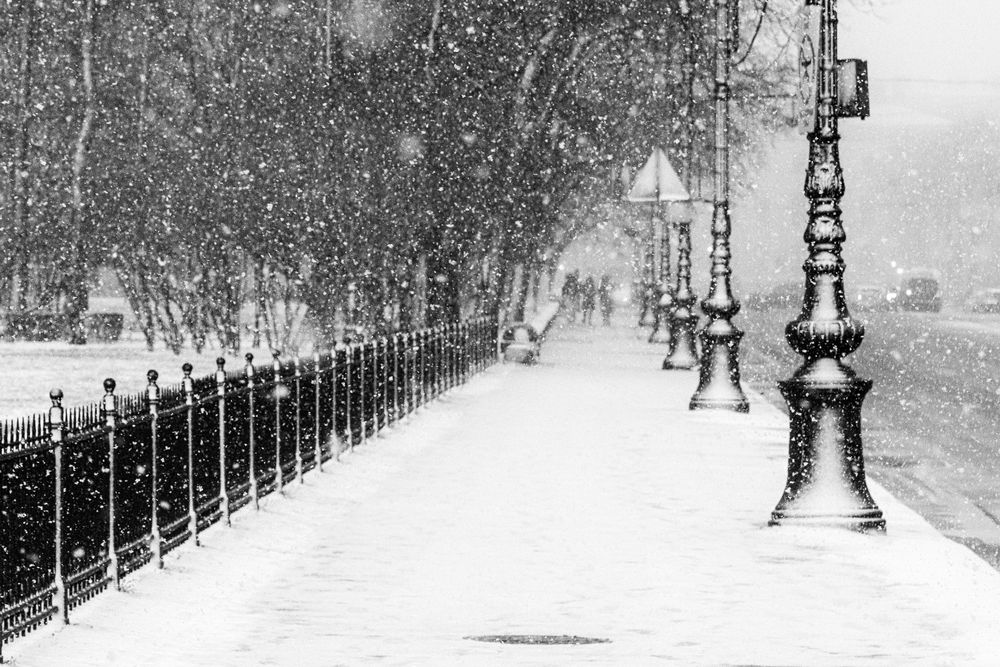 Фотография автора Dimitri Bakhtadze