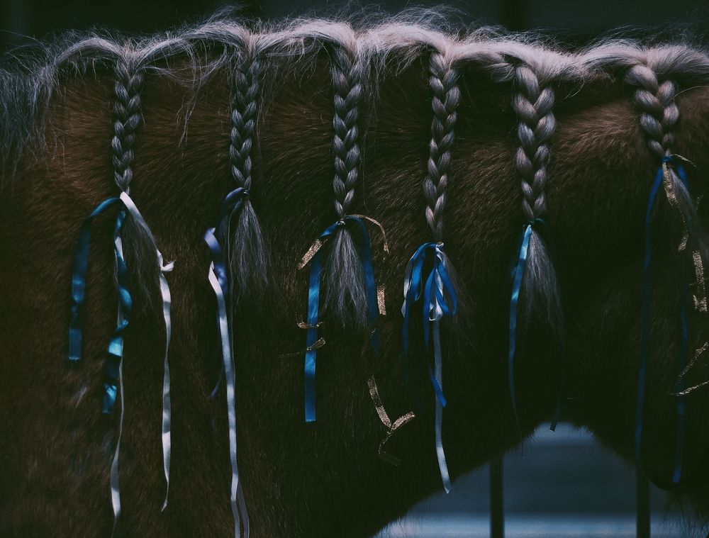 Photograph by Екатерина Бестаева