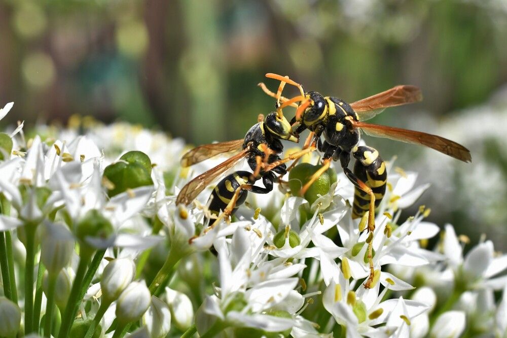 Photograph by Александр Лукьяненко