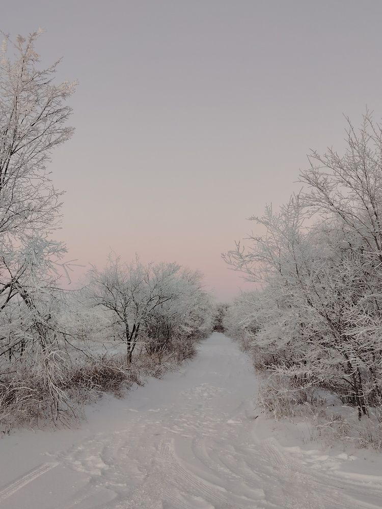 Photograph by Ольга Мокрова