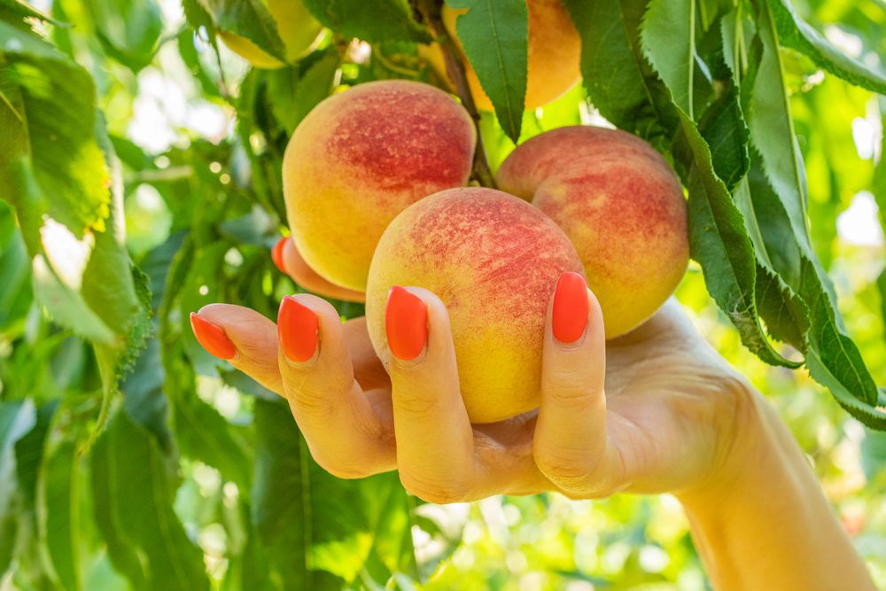 Photograph by Александр Лукьяненко