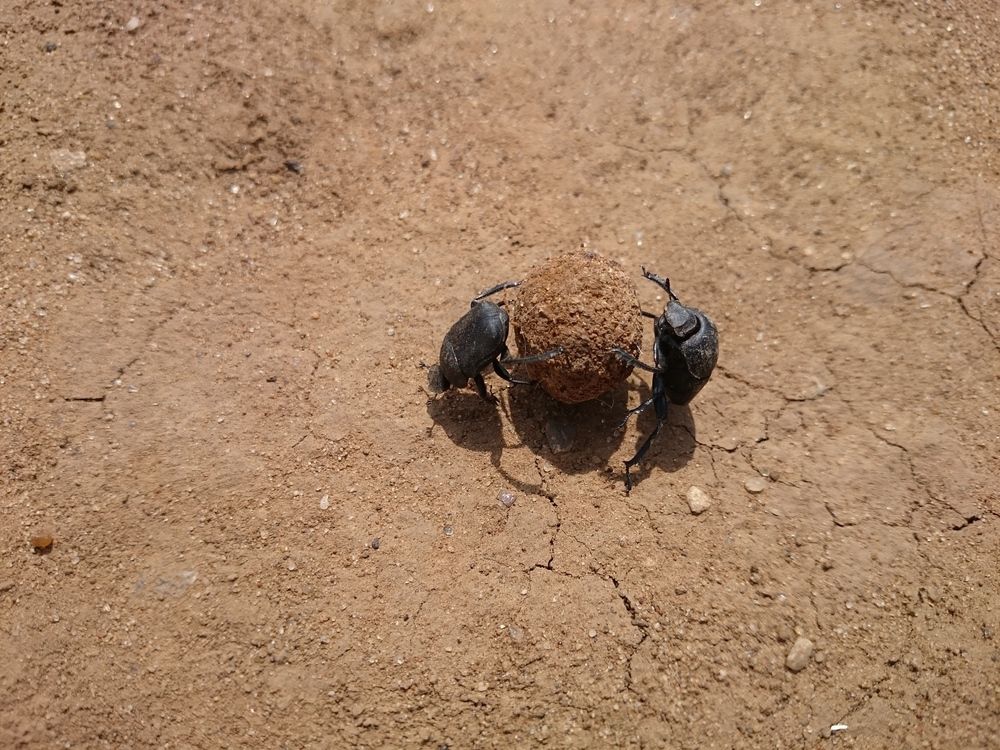 Photograph by Александр Лукьяненко