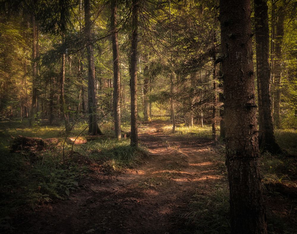 Photograph by Silyavin Nikita