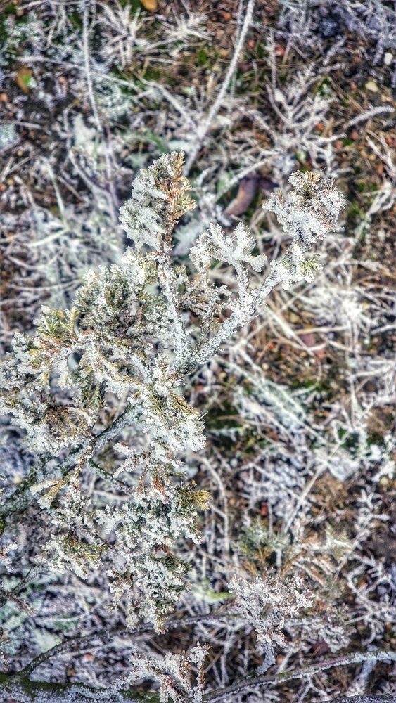 Photograph by Александра Кропивка