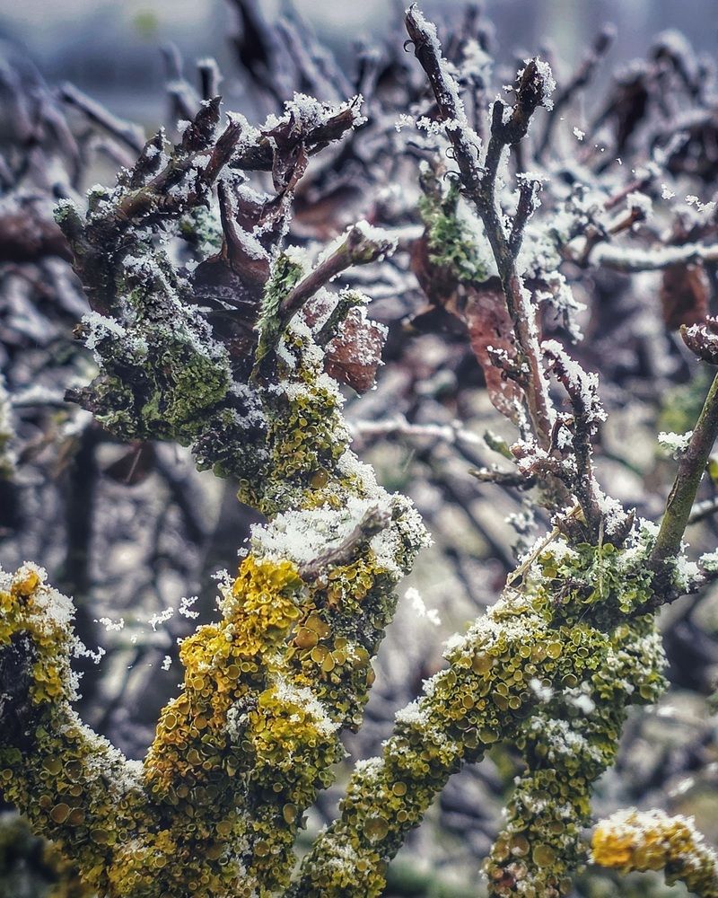 Photograph by Александра Кропивка