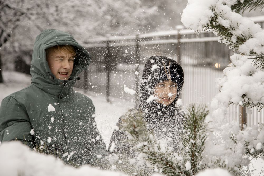 Фотография автора Станислава Гордеева