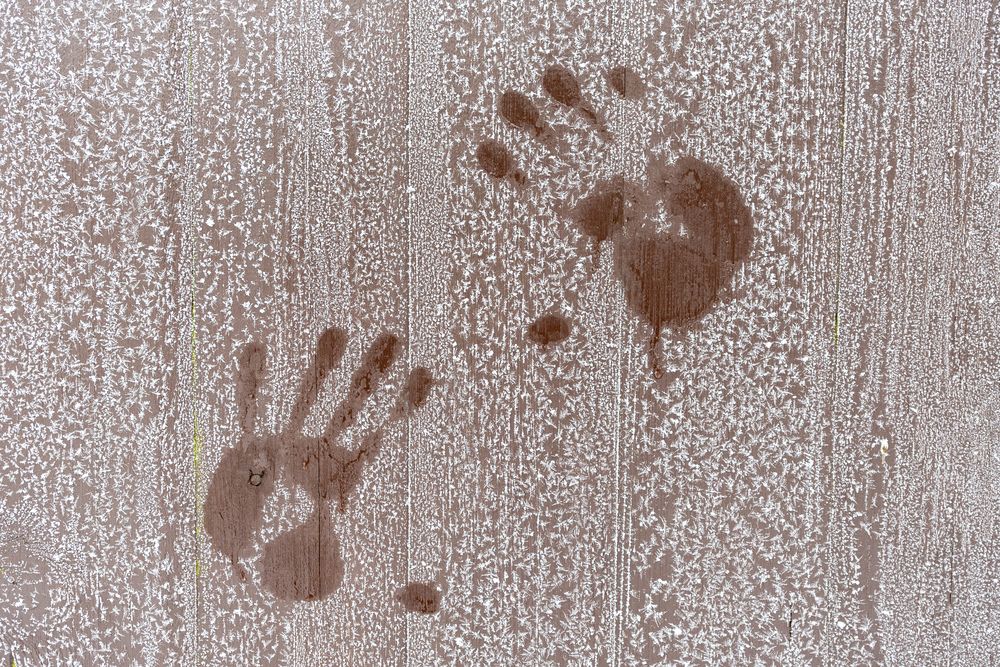 Photograph by Алексей Новиков