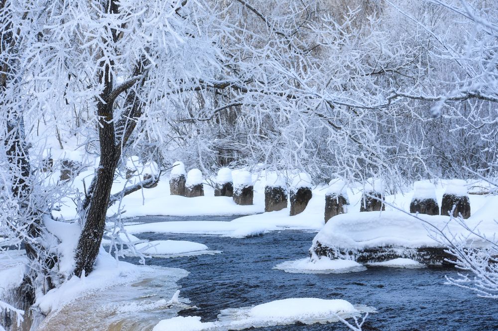 Photograph by Александра Плискова