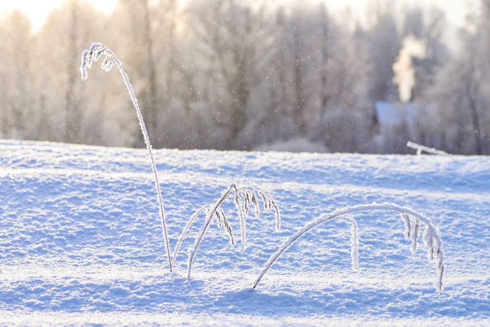 Photograph by Александра Плискова